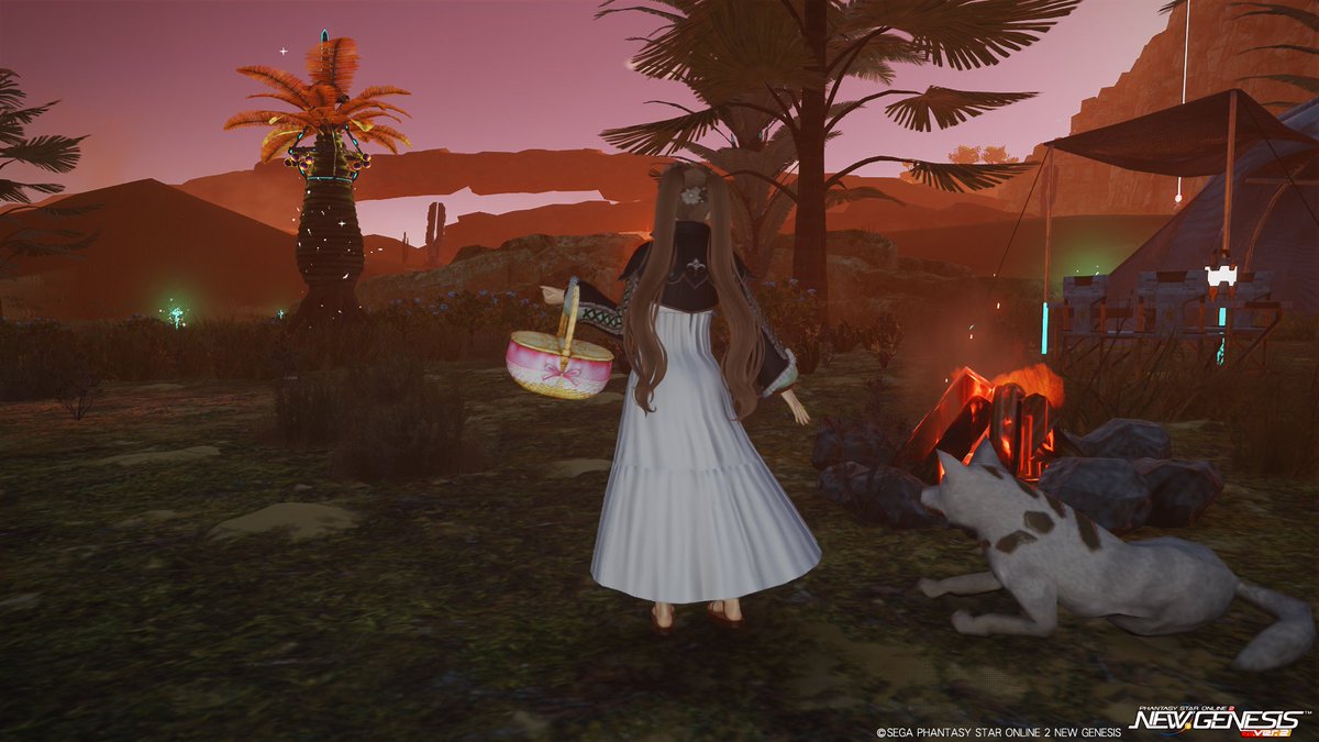 PSO2SS36's tweet photo. 箱庭ゲームをプレイする時、ファストトラベル使わないんですよね～旅の道のりが好きで…
ネットゲームでは周りとの関係もあって使いますが、ちょっとしたソロなどは徒歩を好んでいます
食料調達の旅はオアシスからステッキン低地まで歩いていくのとか楽しいんですよね～🎒🦛 https://t.co/3qBzcun79D