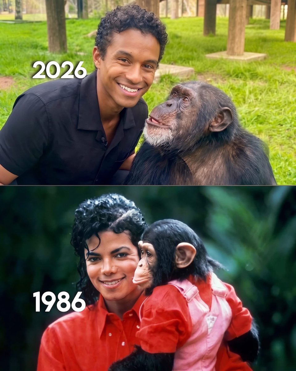paige__gm's tweet photo. Jaafar Jackson recently visited Bubbles, the pet Chimpanzee Michael Jackson had. He’s still alive at 43 living a peaceful life at a sanctuary.❤️ https://t.co/WAXpsLgPCY