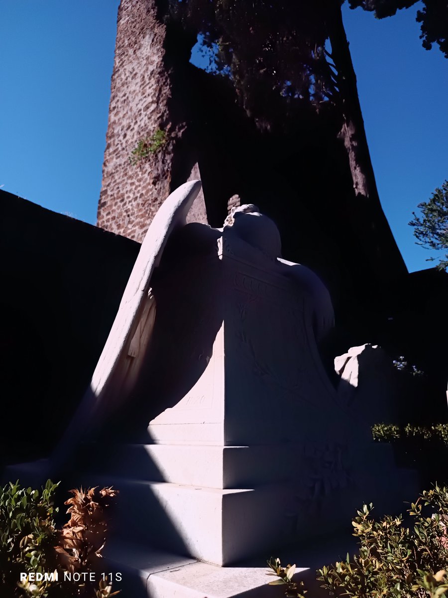 SimoneTripodi's tweet photo. #roma #cimitero #acattolico 
È sempre meraviglioso visitare questo angolo di Roma in una giornata afosa
Luogo di storia e pace✝️ https://t.co/5RI1sw4bEx