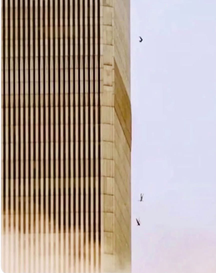 AlGeneRobi96834's tweet photo. This image hits me every time.

Look at it.

Human beings hanging hundreds of feet above Manhattan because the conditions behind them had become unbearable. No staircase. No rescue coming through the windows. No ordinary choice left.

They were not soldiers. They were office workers, mothers, fathers, sons, daughters, husbands, wives, friends. People who went to work that morning expecting to come home.

That is the part of September 11 that can become almost antiseptic after 25 years. We say “9/11.” We quote numbers. We show buildings and smoke. But every one of those numbers was a human being experiencing something almost impossible for the mind to comprehend.

And these images force us to comprehend it.

Do not look away from them. Do not sanitize what happened. Do not turn the people in these photographs into abstractions. Remember the terror inflicted upon innocent human beings by al-Qaeda terrorists acting in the name of an Islamist extremist ideology.

Memory is a moral duty.

Tell your children. Tell your grandchildren. Tell people who were not alive yet.

Remember the innocents.

Remember the firefighters, police officers, paramedics and ordinary Americans who ran toward people desperately trying to escape.

Remember September 11, 2001.

And above everything else, remember the human beings.

Never let history become anodyne simply because remembering it hurts.

#AStoneGroove #SilentMajoritySpeaks
