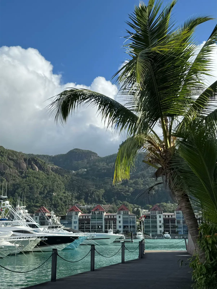 Noelleannetc's tweet photo. his beach is a dream 🌊📷 #Seychelles #AnseSourceDArgent https://t.co/xjhnHQ3XrU