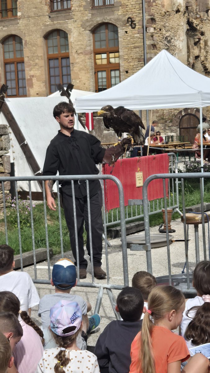 LaNinaCaracol's tweet photo. Oyez oyez! Spectacle médiéval au top au château d'Héricourt. Rapaces, magie, jonglerie, musique, tout y était! #hericourt #hautesaone #franchecomte #lanefdesfous #animalsandco #Kalamus https://t.co/TdCZ17ZDZ6