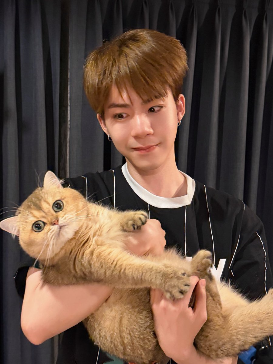 pinktuliper's tweet photo. ดอลล่าไม่บ้วน แปลว่า😗 https://t.co/qAtenH9TIh
