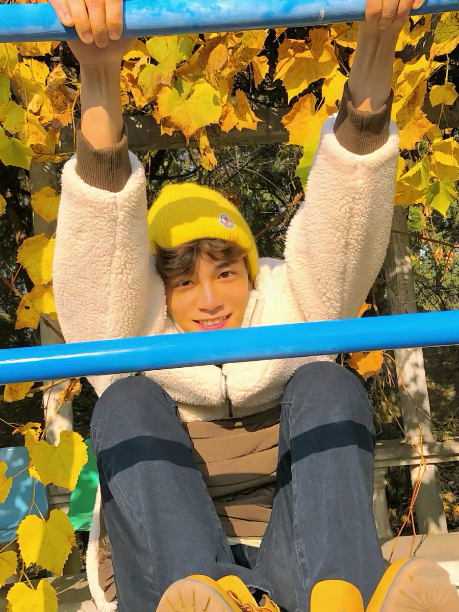 TerryHackneoys's tweet photo. Fall vibes = pumpkin spice lattes, golden leaves, and crisp walks under blue skies https://t.co/S93ermvn52