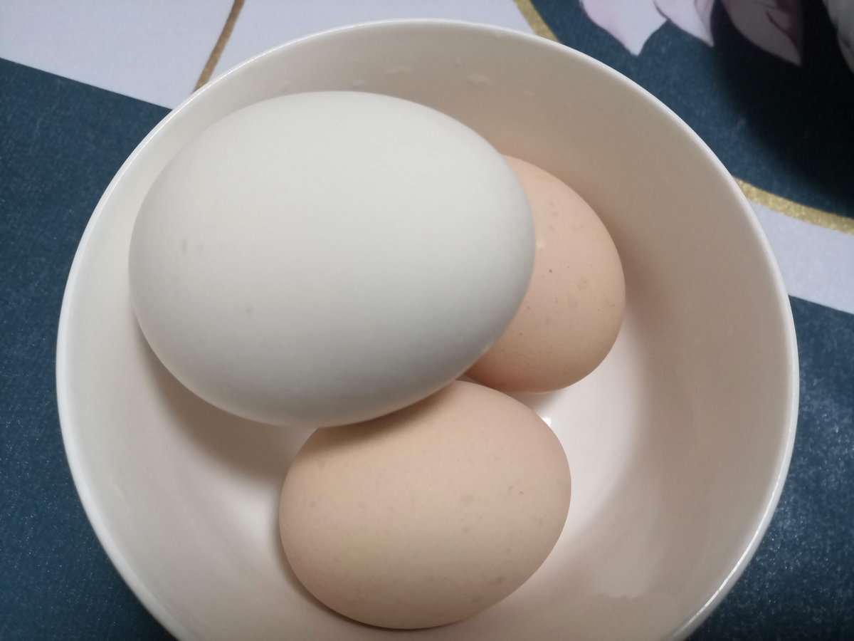 milkx579997's tweet photo. Fresh, local seasonal veggies u0026 pasture-raised eggs restocked! Grab your weekly grocery essentials at our market stand today—organic picks won’t last long! https://t.co/Spgwb3ZZmS