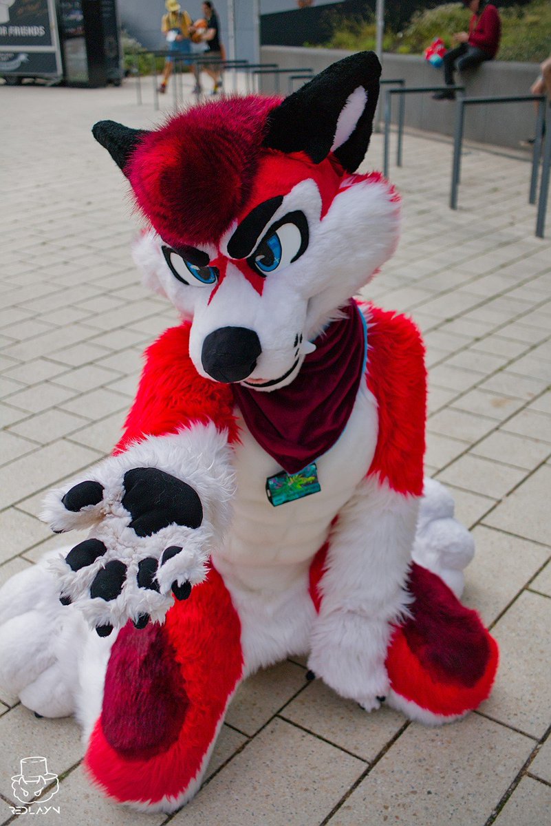 AndreasWusky's tweet photo. Look! I am a good boy, I am giving you my paw. 😇🐾

📸 by Redlayn (on Furtrack) https://t.co/dufgCwDyVI