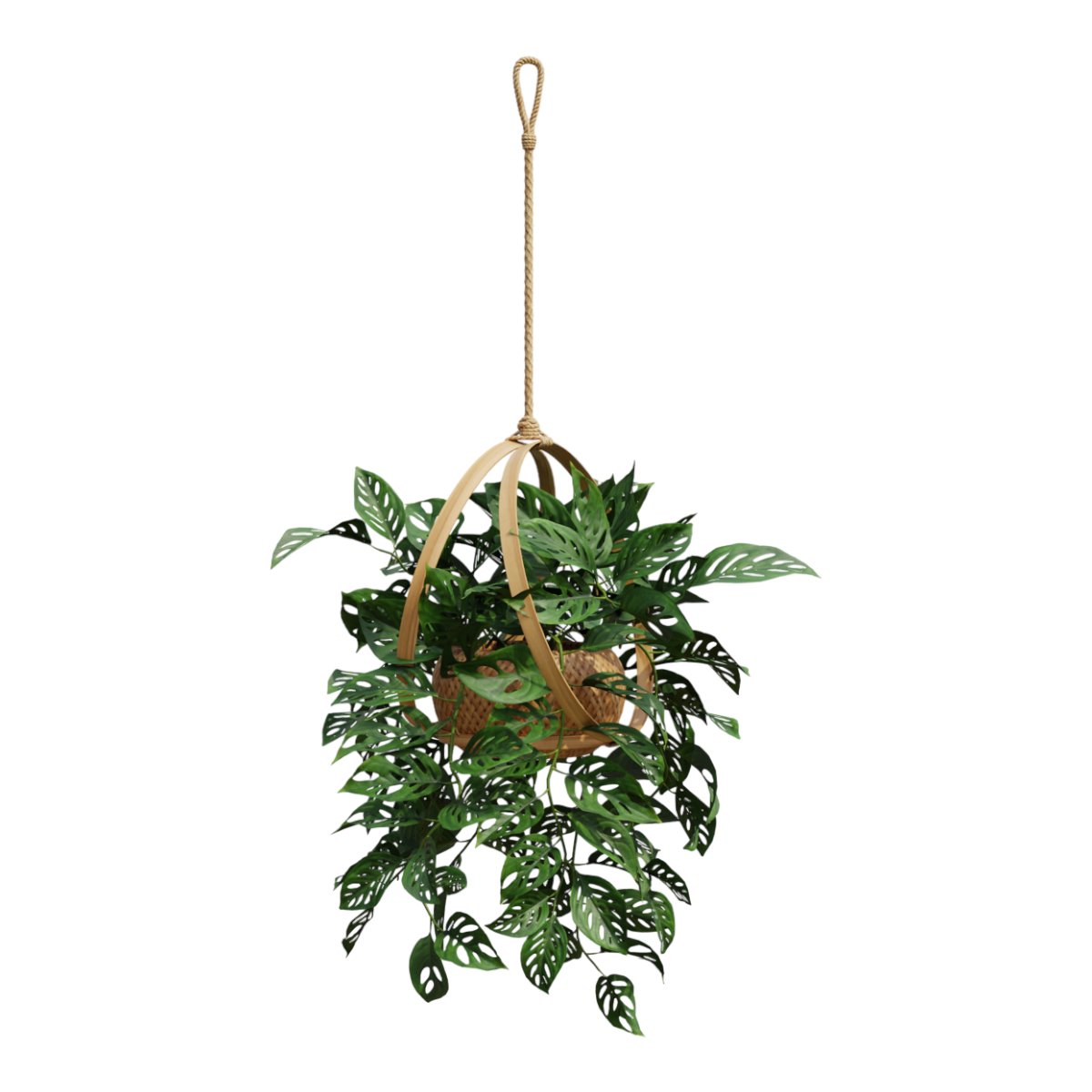 amirc669451's tweet photo. Just finished my first macramé plant hanger!  Tied all knots by hand u0026 it’s perfect for my new pothos—handmade feels so much cozier than store-bought. #DIYCrafts https://t.co/MvgXG4gxsR