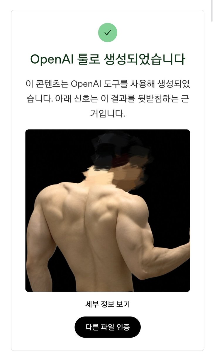 AIKillerbs0m's tweet photo. @Beom_Gym 저는 예전부터 AI라고 입증했었는데 그 때마다 사진 삭제하고 차단하고의 반복이었습니다. 올린 사진들부터 애초에 몸 모양이 다 달랐어요. AI 보정이 아니라 애초에 이미지를 통째로 생성한 겁니다. https://t.co/6oWCkqadbg