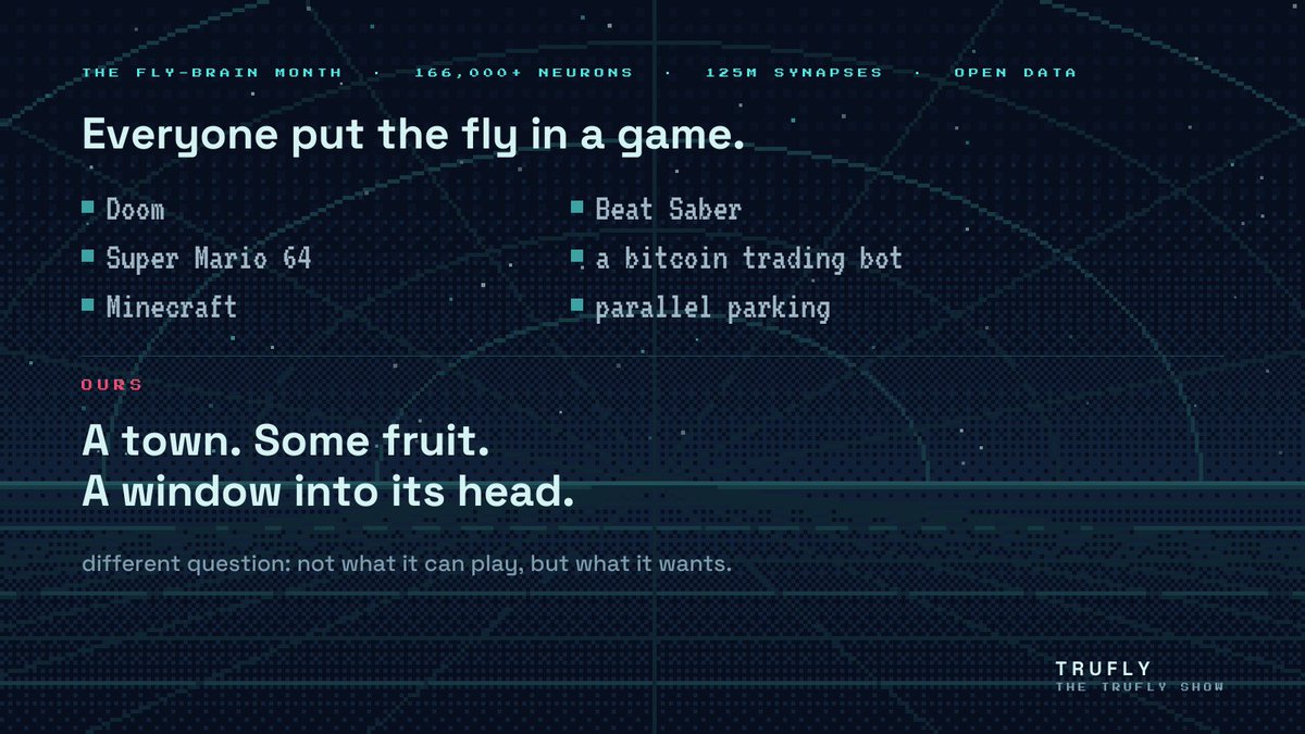 TRUFLY_DEV's tweet photo. This month the complete nervous system of a male fruit fly went public. Over 166,000 neurons, about 125 million synapses, free to download.  

Within a week people had the simulated fly playing Doom, Super Mario 64, Minecraft and Beat Saber, trading bitcoin, parallel parking.  

We gave ours a town, some fruit, and a window into its head. Different question: not what it can play. What it wants.