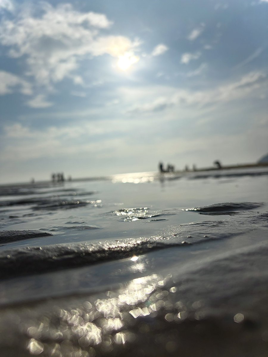 huwiid's tweet photo. #浪人界隈写真部 https://t.co/HCwlPtX8w2