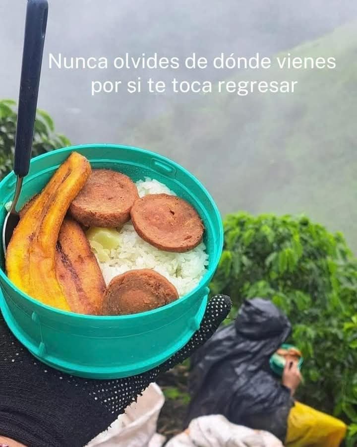 feydisciplina's tweet photo. Nunca lo olvides. https://t.co/1EVclmYwlt
