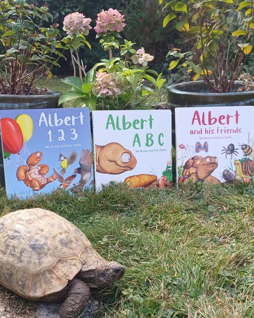 AlbertTortoise's tweet photo. Now THREE #BoardBooks #inspired by real #ALBERTthetortoise aimed at 0-3 years. Meet our #favourite #tortoise and his #garden pals, Dive into the #alphabet or #Count to 10 with ALBERT and chums. Available Now with 10 ALBERT #picturebooks &amp; #ActivityBook https://t.co/WA5TBITS18 https://t.co/42dFEHcEFG