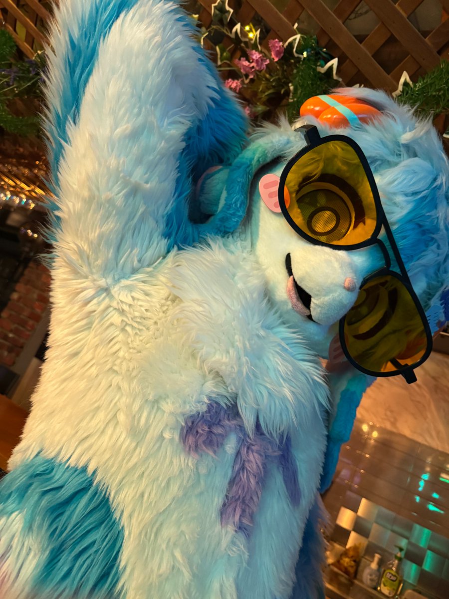 fur_Splash's tweet photo. 이런 자세를 해보라고? https://t.co/jCYZBzxepe