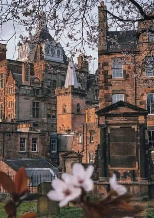 Alina_bloom79's tweet photo. Edinburg, Scotland 🏴󠁧󠁢󠁳󠁣󠁴󠁿 https://t.co/ogl885USF2