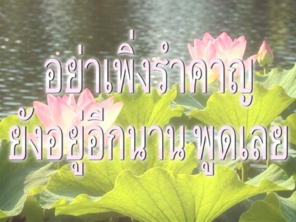 Bubuu_wp2139 tweet picture