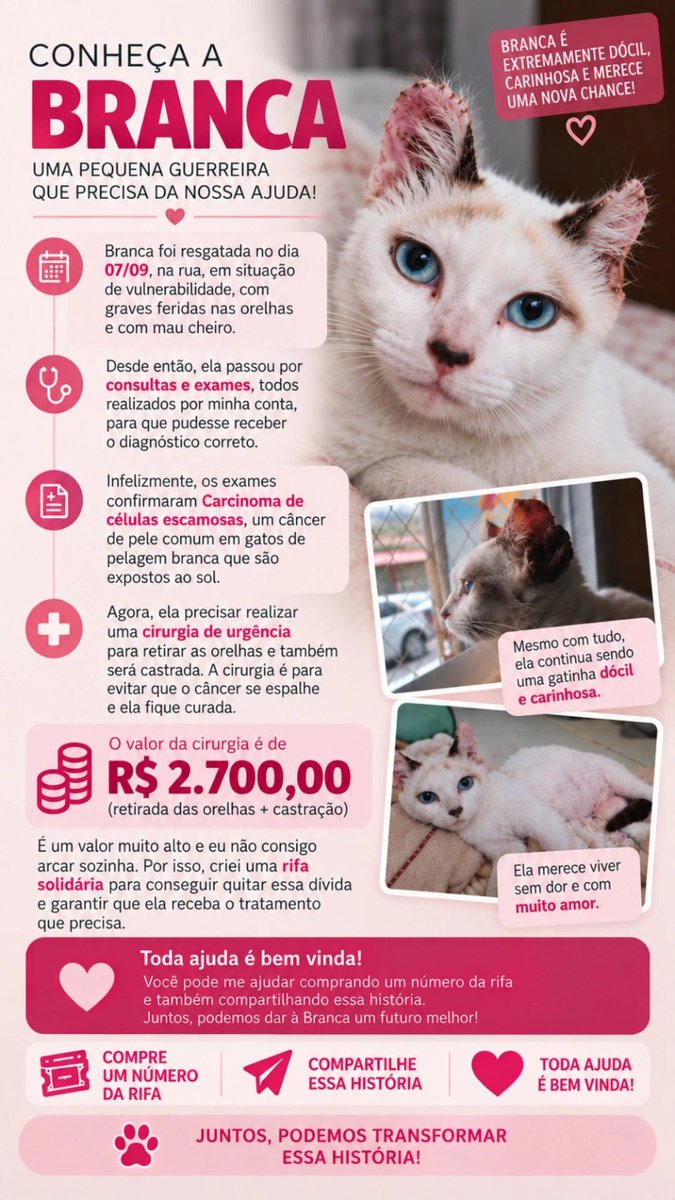 luaraujoooooo's tweet photo. galerinha estou precisando mt da ajuda de vcs, resgatei uma gatinha de rua com câncer de pele e ela precisa de uma cirurgia de urgência para retirar as orelhinhas. Fiz uma rifa solidária para conseguir o valor da cirurgia. Vem ajudem comprando e compartilhando, por favor! 🥹 https://t.co/uQxDyHEshM