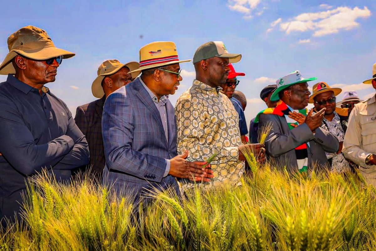edmnangagwa's tweet photo. Today, the First Lady, Dr. Auxillia Mnangagwa, and I had the pleasure of hosting Cabinet Ministers and senior government officials at Precabe Farm in Kwekwe, Midlands Province. 

The tour offered our leadership team a first-hand appreciation of modern agricultural production, advanced mechanisation, and innovative agro-processing https://t.co/COAt6H5ZVU we push forward with our national development agenda, agriculture remains the backbone of our economy. 

By embracing technology, maximizing land productivity, and value-adding our produce through agro-processing, we are ensuring national food security and driving rural industrialisation.We continue to lead by example. 

Through hard work, innovation, and dedication, we will achieve an empowered and prosperous upper-middle-income society by 2030.