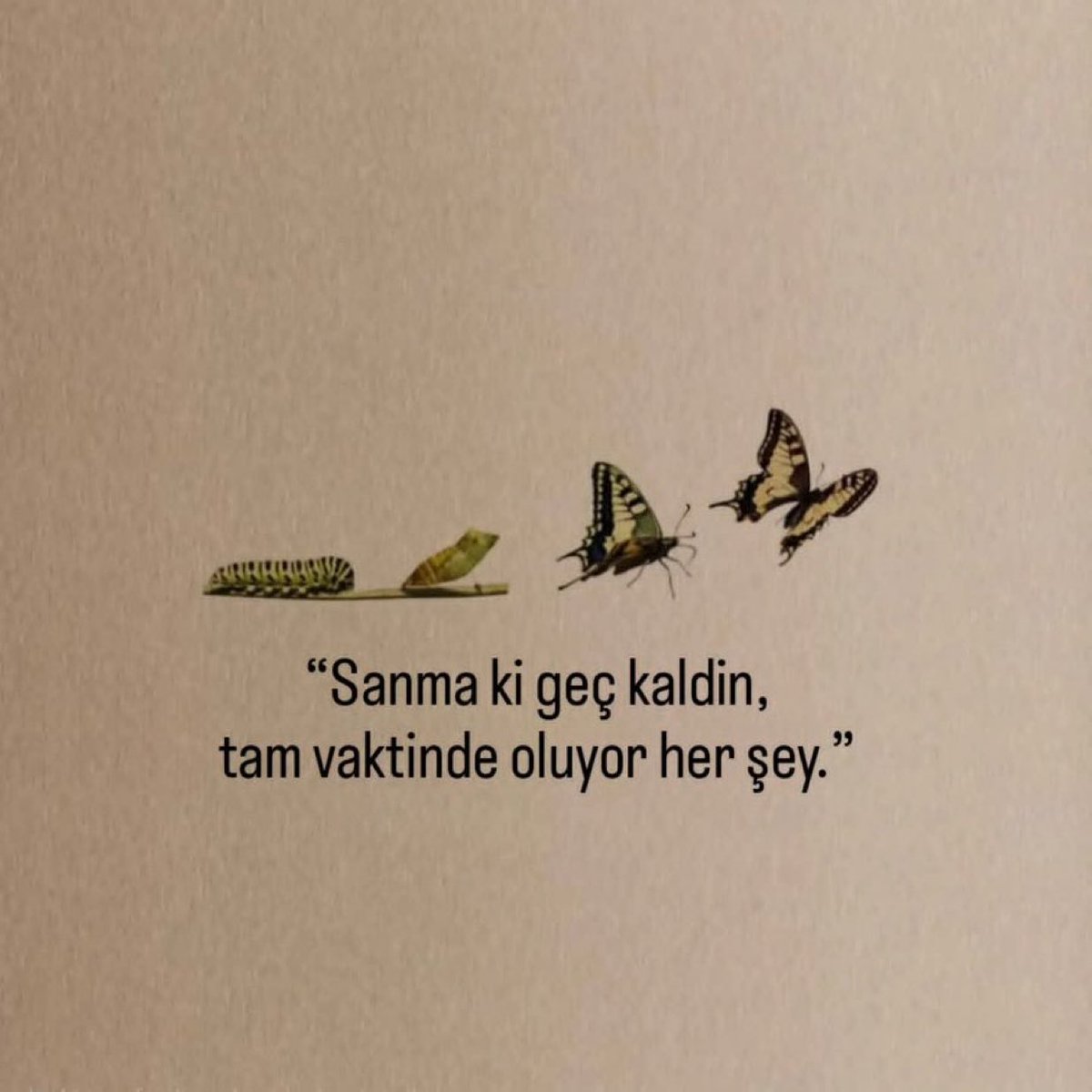 xmentalactivity's tweet photo. “Sanma ki geç kaldın,
 
tam vaktinde oluyor her şey.” https://t.co/4xP5gLn6iv