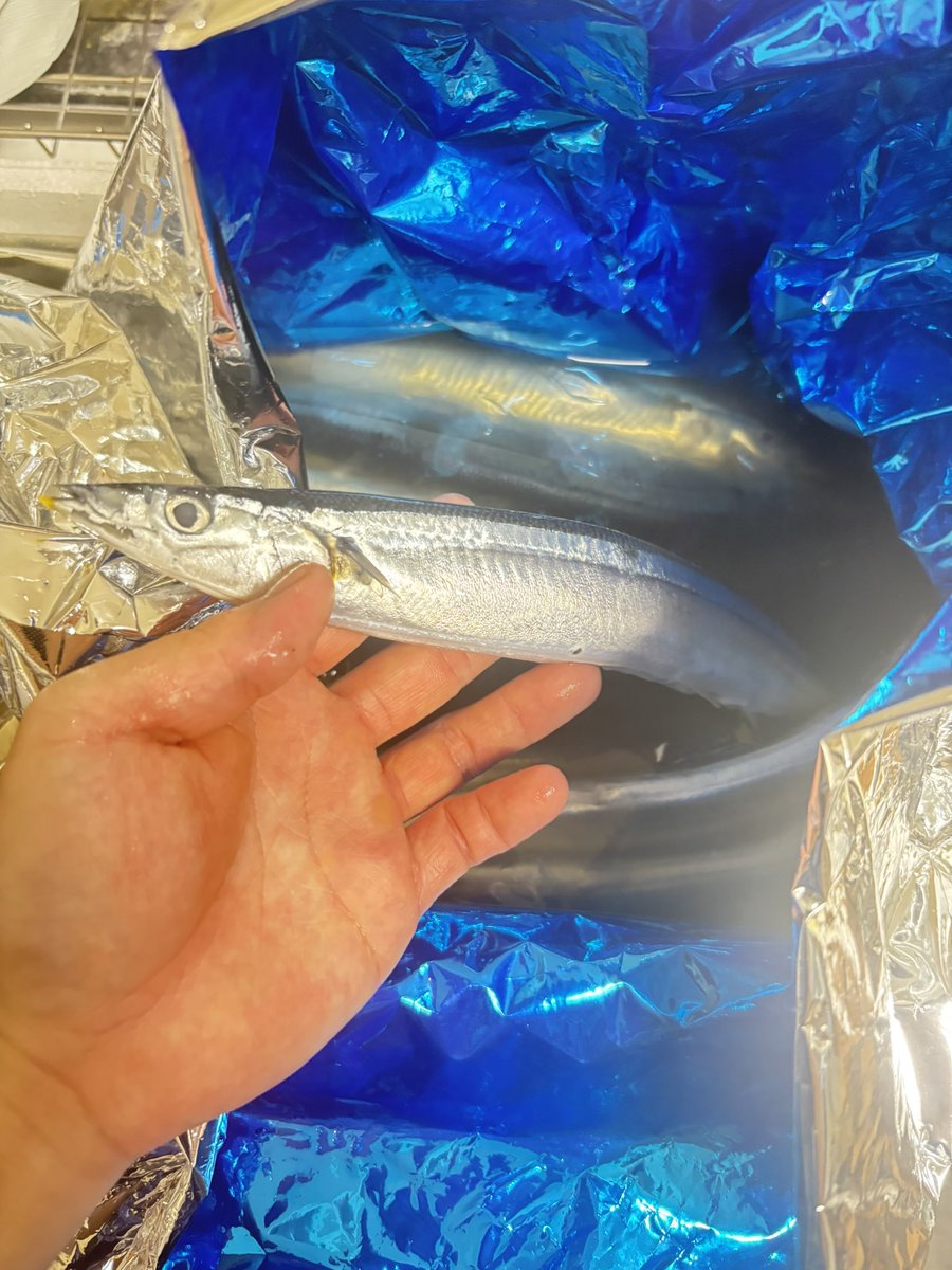 knpp1207's tweet photo. うまぁぁぁぁぁ！！！！！！！！
#秋刀魚 https://t.co/oGq2cPwnF6