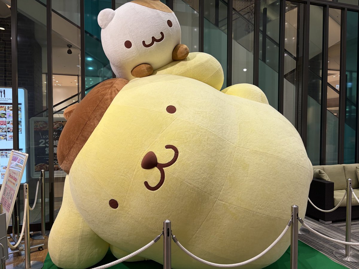 kawaii_pick's tweet photo. ポムフェス当日行けなかったから、6月に行ったサンリオフェスの写真たくさん載せとこう🍮🎀 https://t.co/dseqQwjCIr