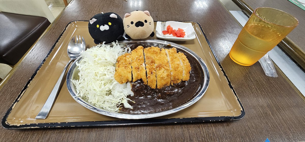 Harada_pretty's tweet photo. 金沢カレー食べ比べ
ハラダはチャンピオンカレーが好きらしい
 #旅ハラダ https://t.co/t8m41c2inV