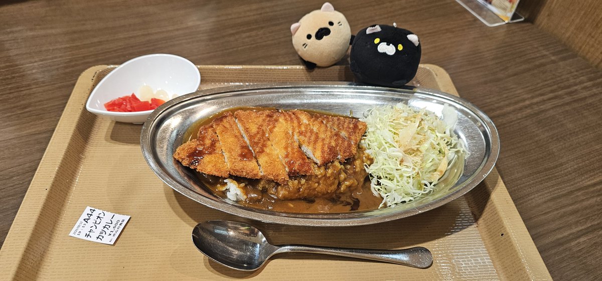 Harada_pretty's tweet photo. 金沢カレー食べ比べ
ハラダはチャンピオンカレーが好きらしい
 #旅ハラダ https://t.co/t8m41c2inV