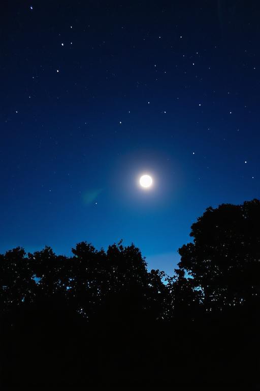yuragamez's tweet photo. Staring at the same moon, texting the same silly jokes—distance won’t dim the little warmth we share tonight ， https://t.co/TMsJoHHHOn