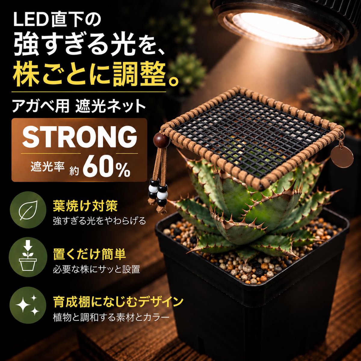 BizarreBazaarJp's tweet photo. https://t.co/trw4inUK7i