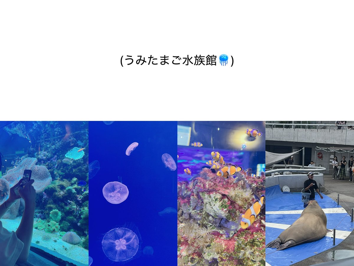 nru_zzz's tweet photo. 時差投稿だけど初!大分行ってきた✈️
別府温泉と大好きな水族館連れて行ってくれてありがと〜〜🐠🪼 https://t.co/3JX5fgAG57