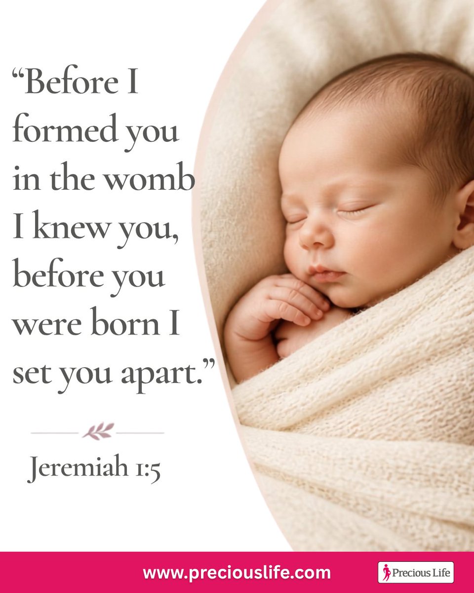 PreciousLifeCom's tweet photo. #SundaysForLife #PraytoEndAbortion https://t.co/F55B3bFQ2t
