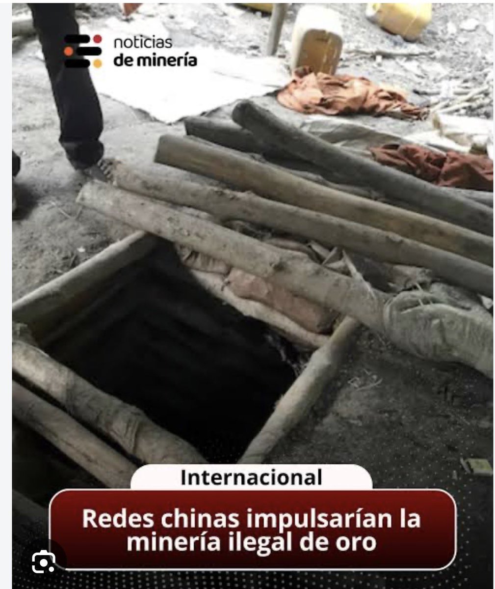 peru_pati's tweet photo. @red_semilla https://t.co/jG7ydHpcIb