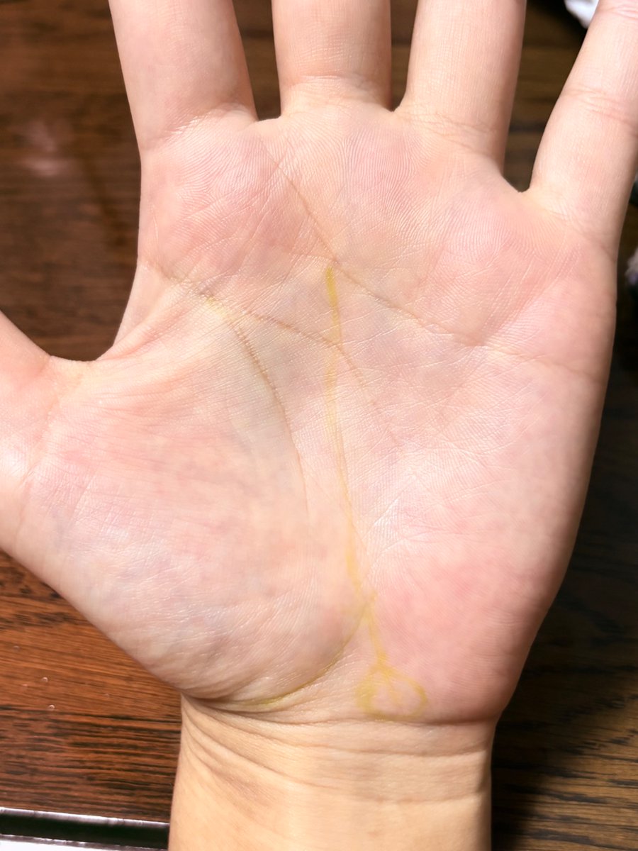 0N_Ra_'s tweet photo. 今日は手相見てもらったり、梨（あきづき）食べたり、昨日のナカシマファームのパンナコッタ食べたり、エリックサウスのビリヤニプレート食べました。 https://t.co/DCjPIcHnHI