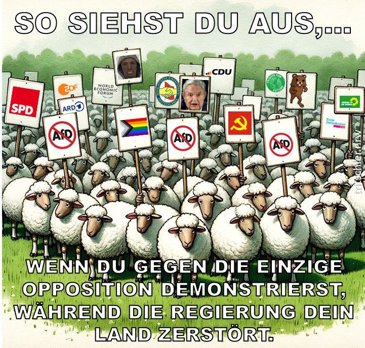 ds_hamburg's tweet photo. @welt https://t.co/8cxUvWqqr6