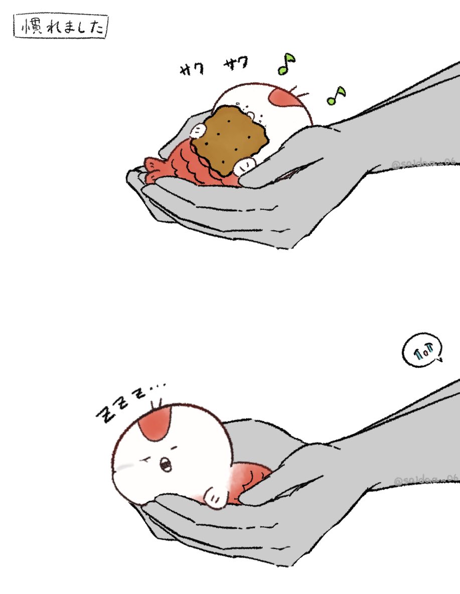 saidaa_06's tweet photo. てのひら人魚ちゃん https://t.co/zBy4DPPDUz