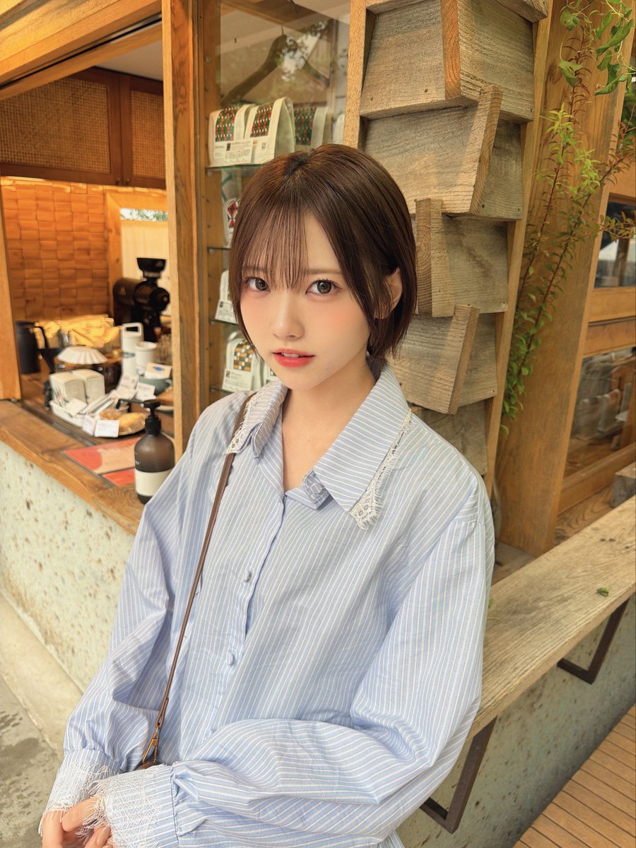 yoshikawa_umi's tweet photo. Rain Treeのショートカット担当 https://t.co/KdueUyt8gc