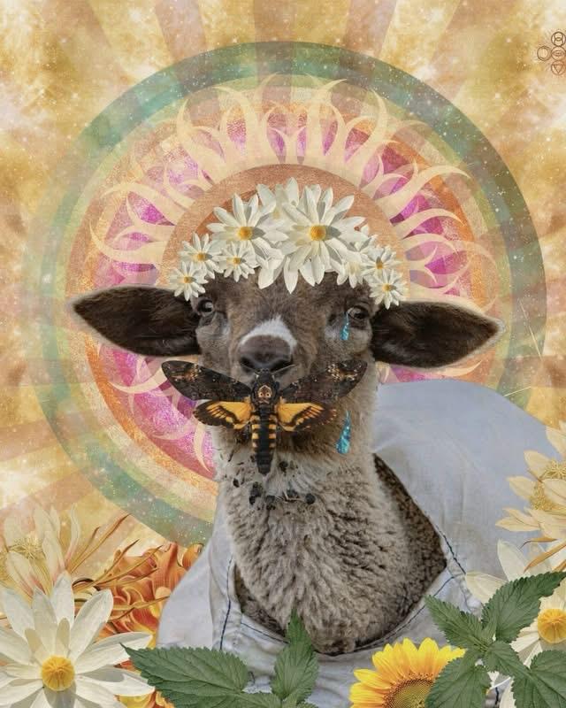 fourpawsint's tweet photo. 🐑 “The Silence” brings together photography and digital art to shed light on live lamb cutting and inspire more compassionate choices.  
🎨Featured Artists: Kelly Fogel  &amp; Lori Menna
📍Photoville cubes at DUMBO’s Archway in Brooklyn 
More ➡️ https://t.co/PU32EK64u6 https://t.co/40uryyLbDp