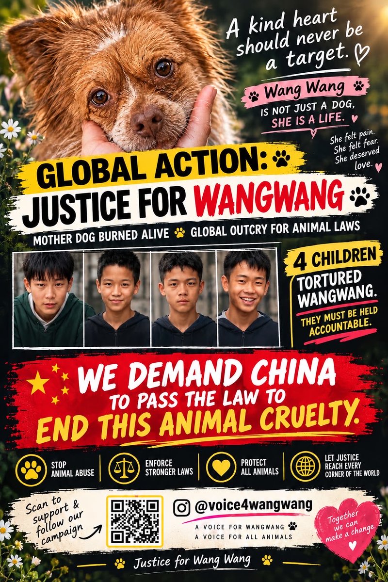 Anna88888993's tweet photo. @sbl0680 Justice for Wang Wang https://t.co/ZkRdgk3Ch1
