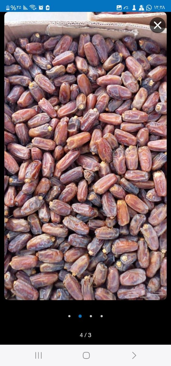 mashreq_me's tweet photo. Our best offers available now:

Safawi Dates / Grade A
-------------------------------------
Mashrouk Dates / Grade A
-------------------------------------------
Grade: A (Premium)
----------------------
Contact via WhatsApp: +201200005175
Email: mashreqcompany@gmail.com https://t.co/BD3DiJxtfI