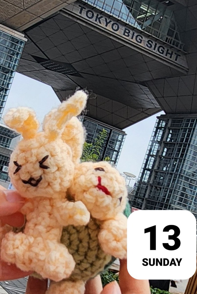 sumiko_sm5's tweet photo. 全部手探りでしたが今日のイベント楽しかったです！

本お迎えいただけた方ありがとうございました( .ˬ.)"

平日話さな過ぎて喉が瀕死だ……

(これは先週の土日にお品書きも作らずこしらえてたあみぐるみ) https://t.co/EtlpEVGJmN
