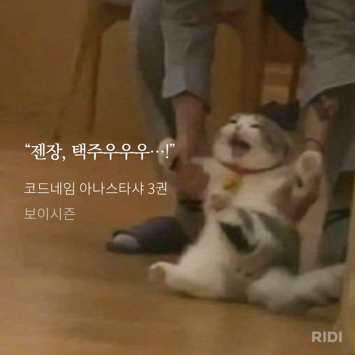 ggibu_bono's tweet photo. 제냐가 진짜 아가구나 싶은 순간
택주 애타게 부를 때
[택주!]가 아니고 [택주우우우!!]라고 부름
ㅜ���제냥이 택주한테 애절해 죽음..o̴̶̷̥᷅⌓o̴̶̷᷄ https://t.co/bkLuj2qNrU