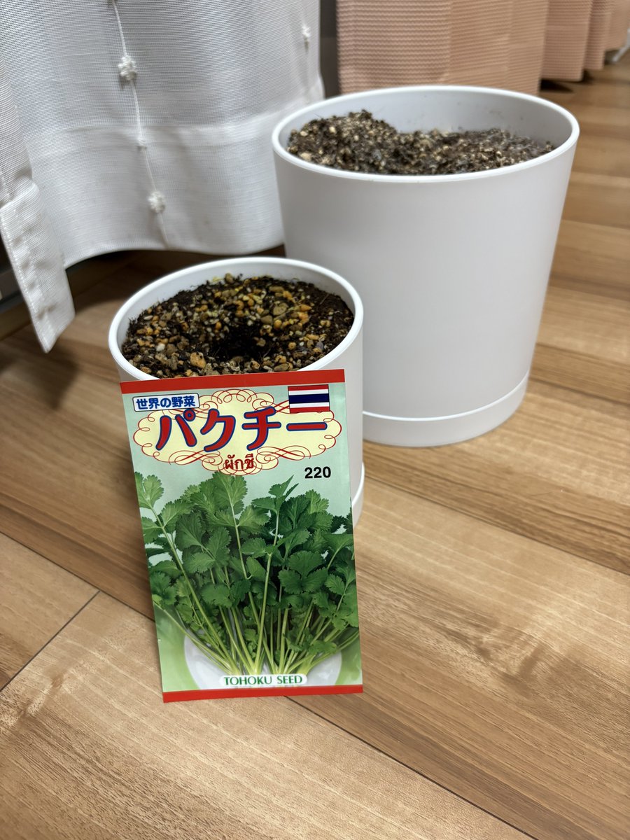 wataji_eos's tweet photo. 観葉植物諦めて食べられる植物にチャレンジ🌱 https://t.co/1baSK0Qc6x