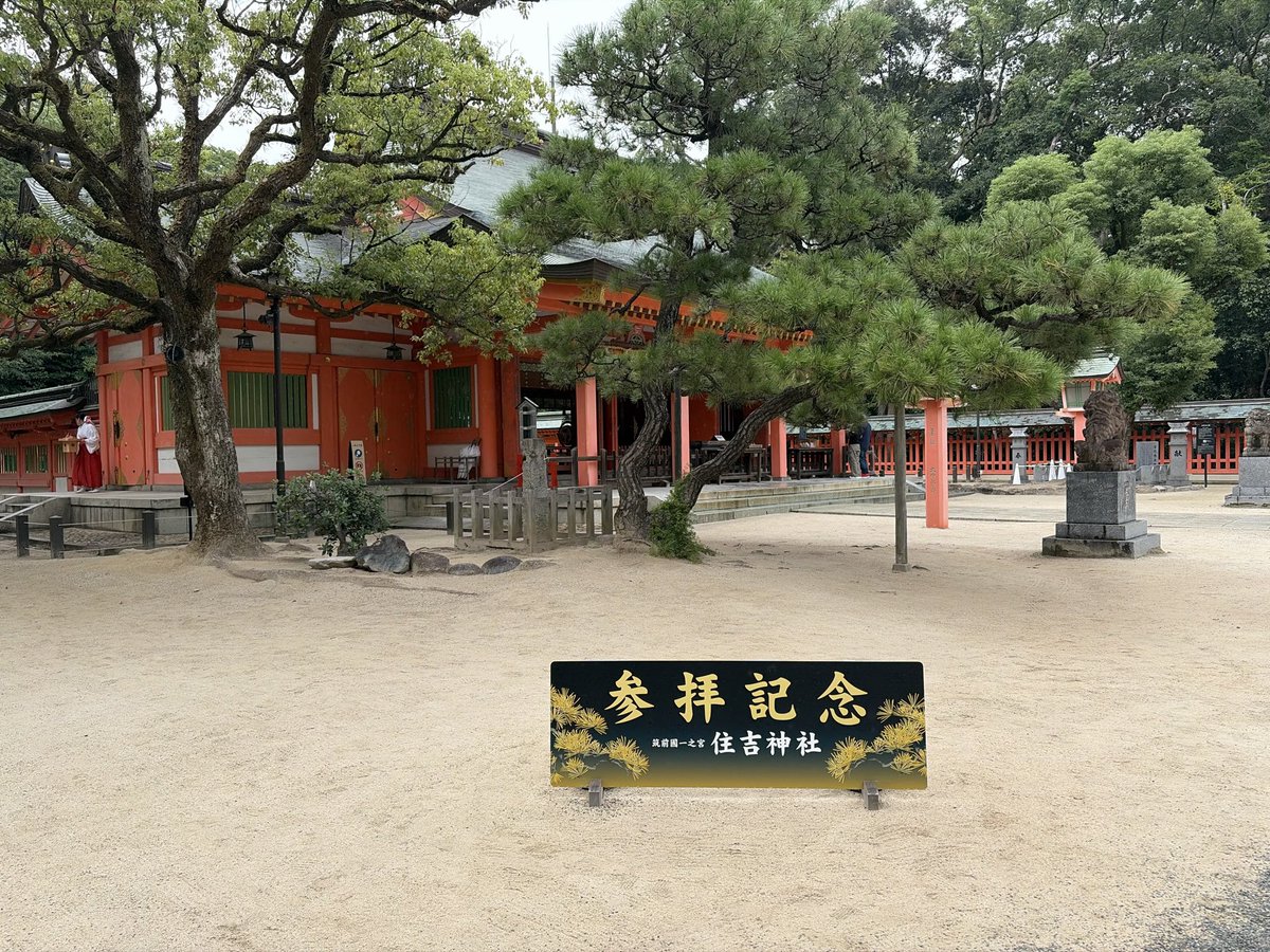 0sat10's tweet photo. 博多よかった( ᎔˘꒳˘᎔) https://t.co/eAnTcSnbpe