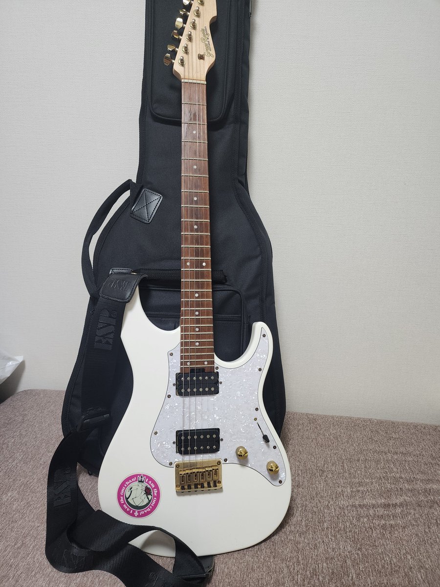 Toyopon2001's tweet photo. ギターメンテナンスしてしたー！
更にケースも新調した！！

欲しかったマイクは在庫なかったから最終的にサウンドハウスで買った笑笑 https://t.co/jgC5CbXxlo