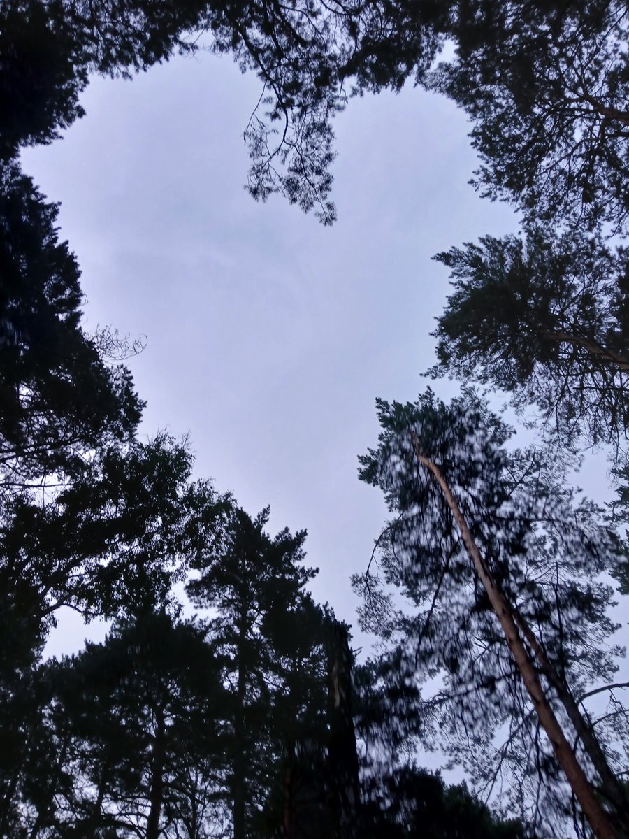 qpaweu's tweet photo. Camp🏕
Сука верните лагерь https://t.co/Zx3ls9Ple4