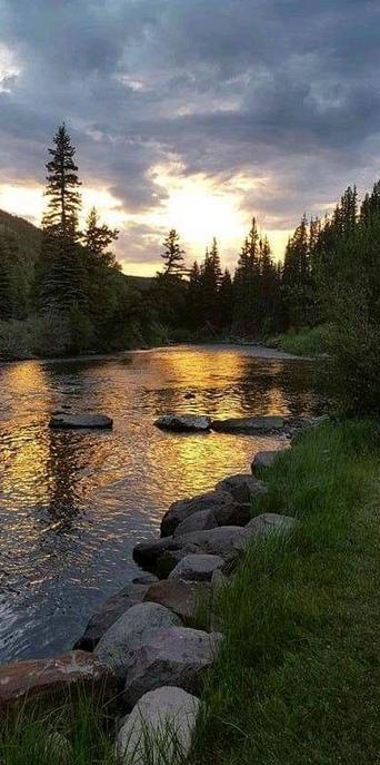 SchraamViince's tweet photo. Spent an hour watching otters videos. No regrets.... Reminder: life is too short for not saying how you feel. https://t.co/H1Kp4YFRZh