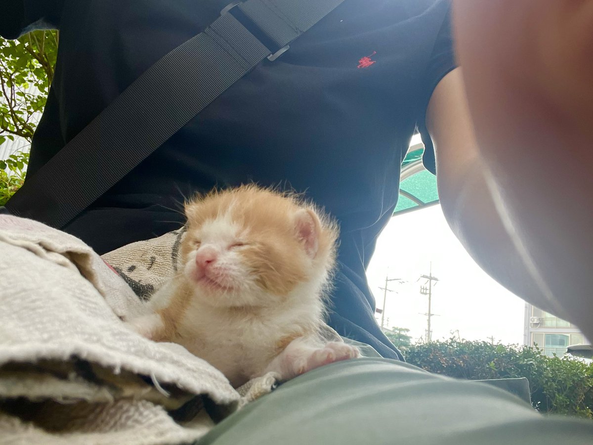 mo0_mo00's tweet photo. 자기 이 사람 냄새 조으다고
이 냄새 나는 집으로 가서 살거라고 https://t.co/02k7mn1KHK