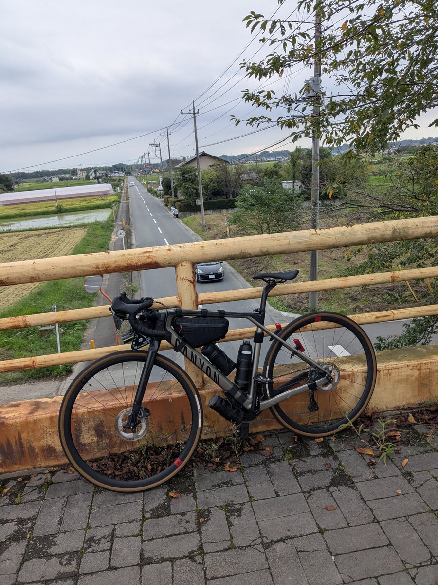 Canytaro's tweet photo. 初の区間を走れたけど、蚊柱がひどすぎてストレスMAXの荒サイでした。荒サイは区間によって整備の度合いが違いすぎる。財政の差なのか？？？ https://t.co/ypELuGz9sz