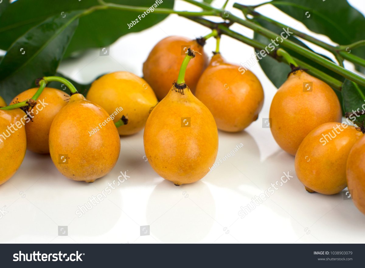 LeonardaBap4yk's tweet photo. Descubrí un café con sorbetes de frutas exóticas mezclados con café frío, una explosión de sabor que no te puedes perder!， https://t.co/0TlbDfjF24