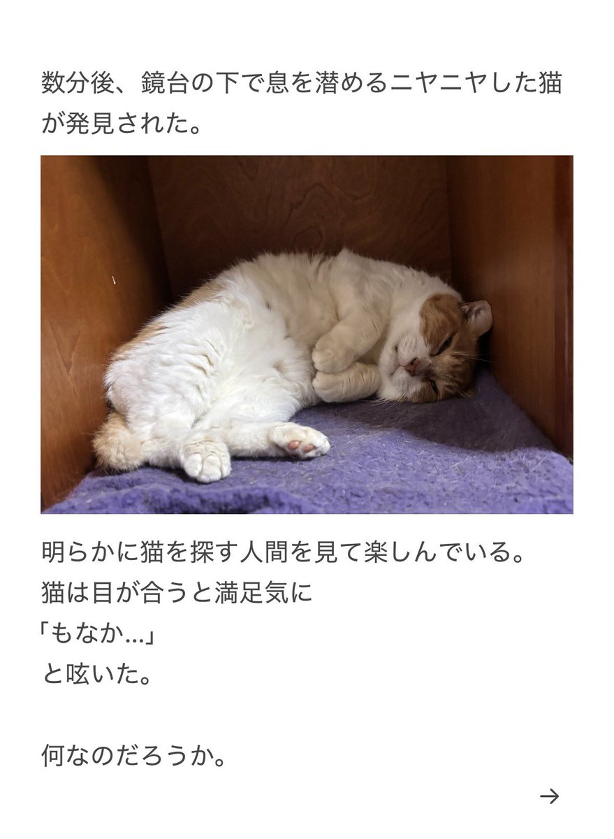 yalalalalalala's tweet photo. 【猫が家の中で見つからない時の注意】

もう少し早く気づけば良かったと悔やみました。 https://t.co/v2BBfyOEZM