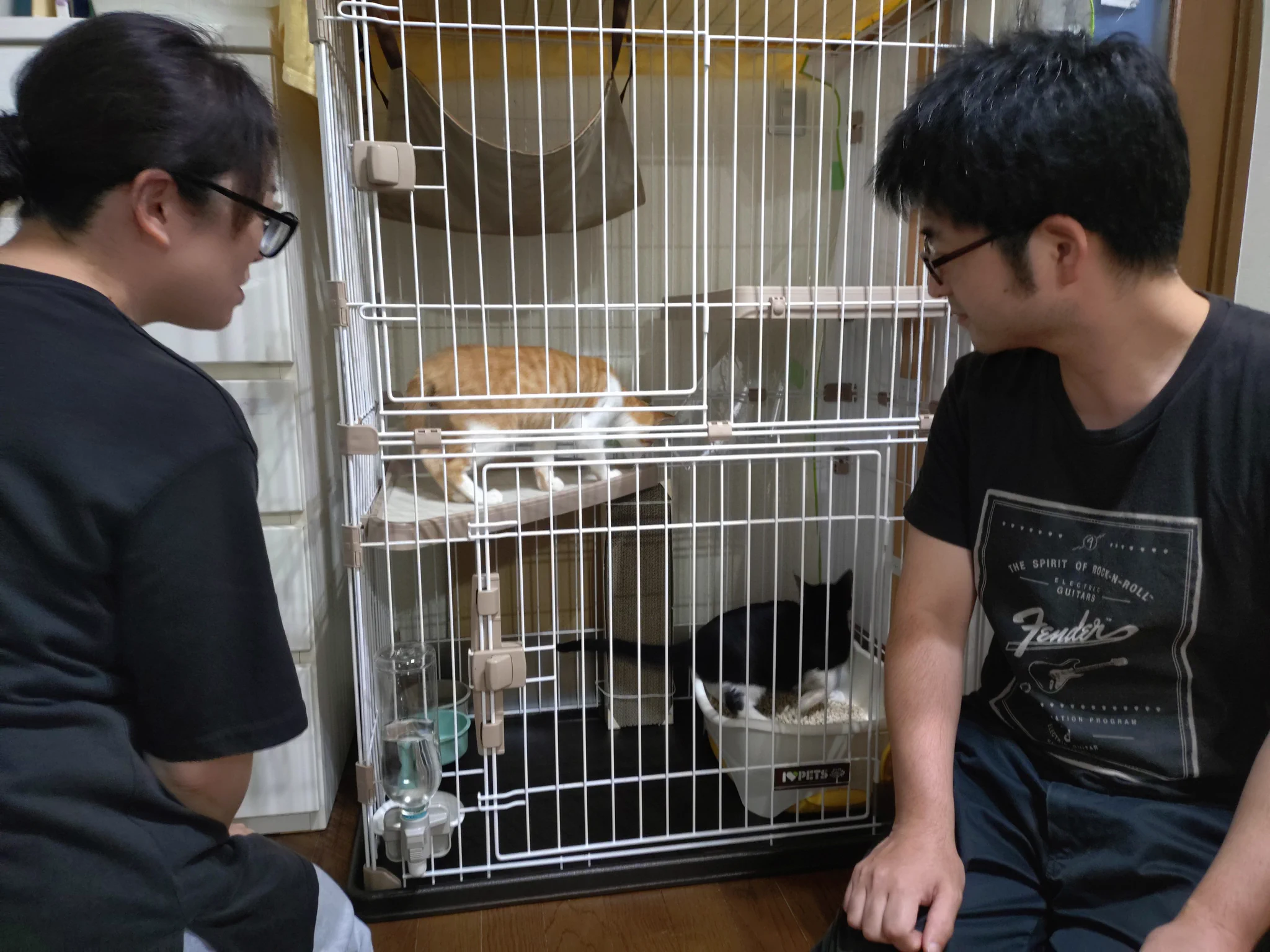 尾張ヒゲ様ご確認用 みたか123 on X: 